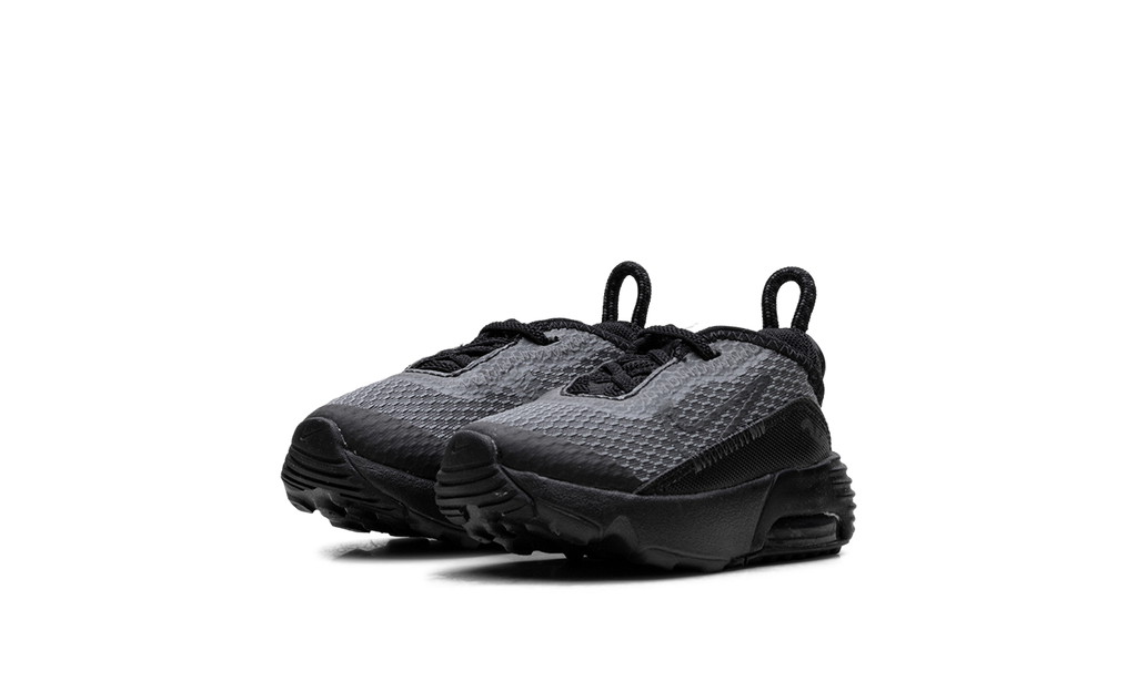 Air Max 2090 TD "Black Wolf Grey" CU2092 001