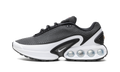 Air Max Dn "Black / White" DV3337 003