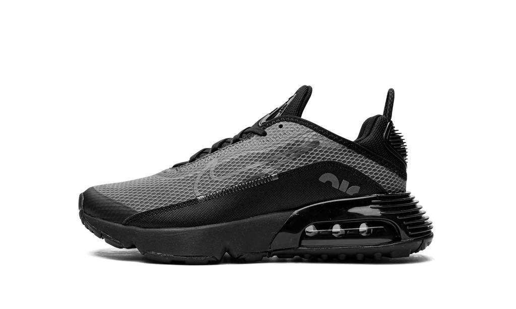 Air Max 2090(GS) "Black Wolf Grey" CJ4066 001