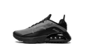 Air Max 2090(GS) "Black Wolf Grey" CJ4066 001