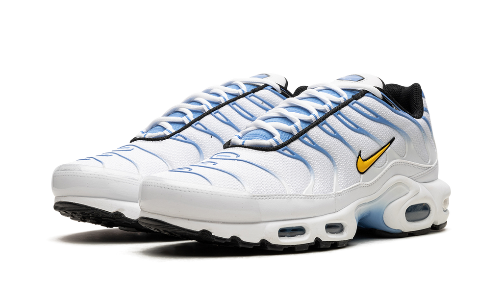 Air Max Plus "White University Blue" DM0032 101