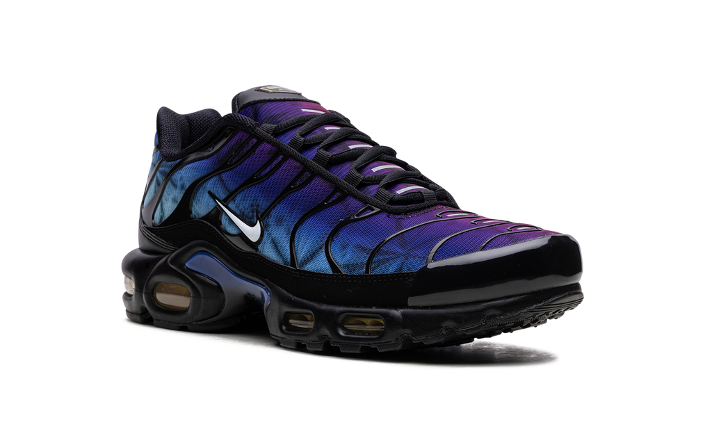 Air Max Plus "25th Anniversary" FV0393 001