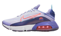 Air Max 2090 GS "Dark Purple Dust" DA2417 100