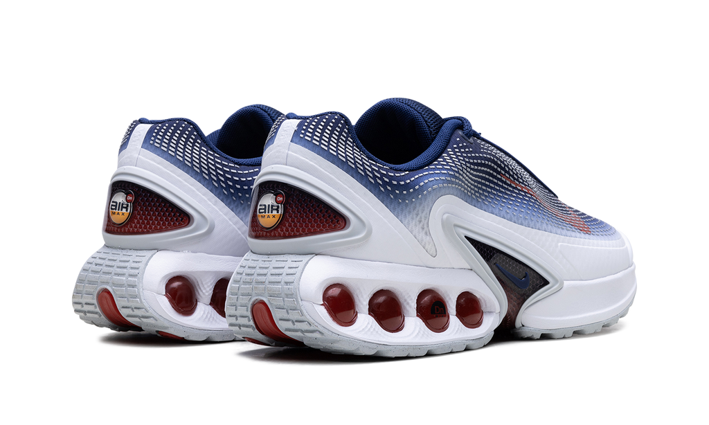 Air Max Dn "Team USA" FV2250 100