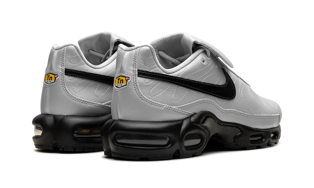 Air Max Plus "Wolf Grey" HM6850 001
