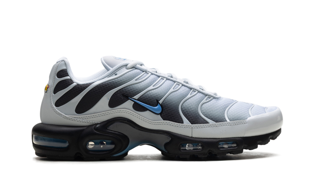 Air Max Plus "Grey University Blue Black" DM0032 015