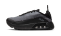 Air Max 2090 PS "Black Wolf Grey" CU2093 001