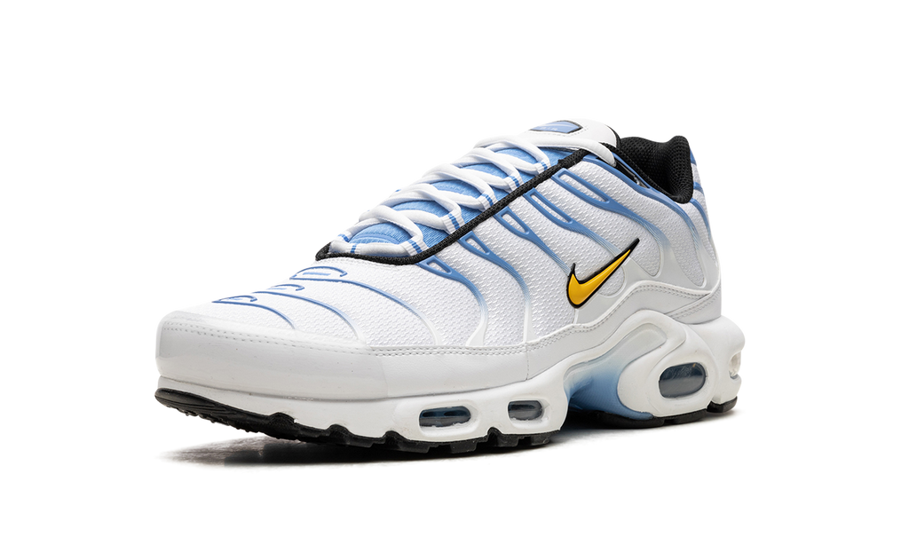 Air Max Plus "White University Blue" DM0032 101