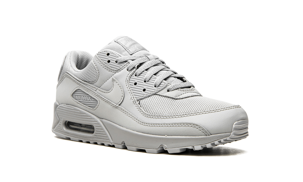 Air Max 90 "Wolf Grey" CN8490 001