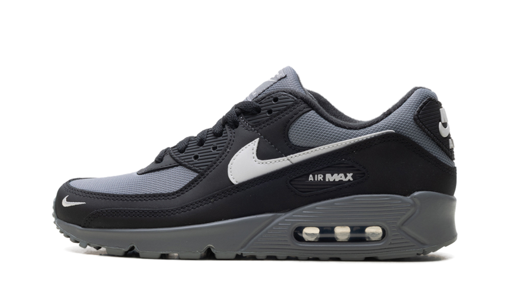 Air Max 90 "Anthracite Black" IM5989 010