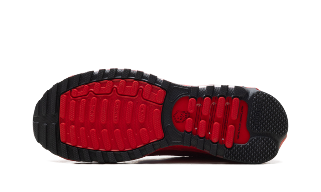 Air Max TL 2.5 "Chrome" IO7544 657