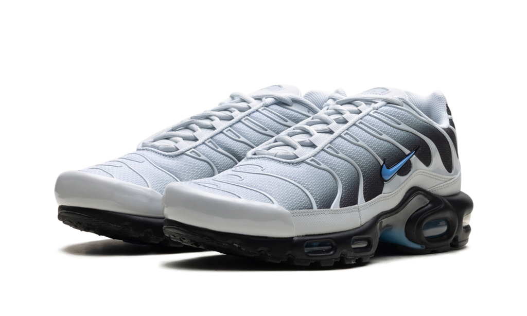 Air Max Plus "Grey University Blue Black" DM0032 015