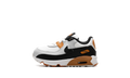 Air Max 90 LTR TD "PURE PLATINUM" CD6868 023