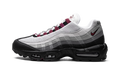 Air Max OG 95 "Dark Beetroot" DQ9001 001
