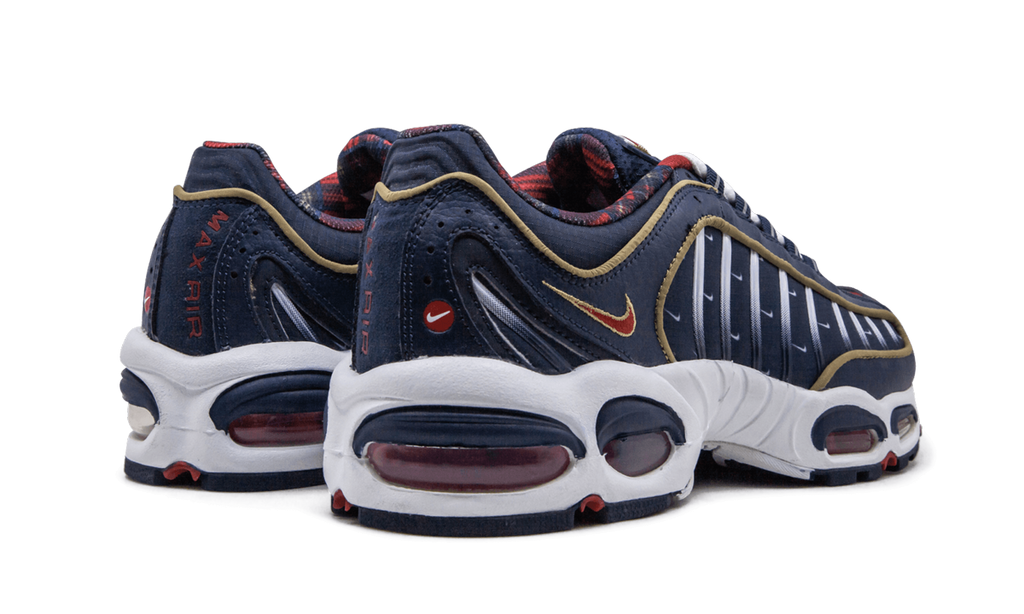 Air Max Tailwind 4 "USA" CK0849 400
