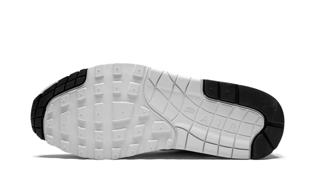 Air Max 1 Premium "Pure Platinum" 875844 006