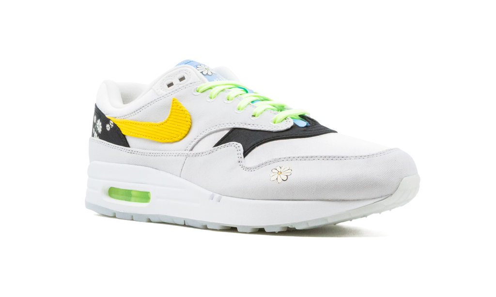 Air Max 1 "Daisy Pack" CW6031 100