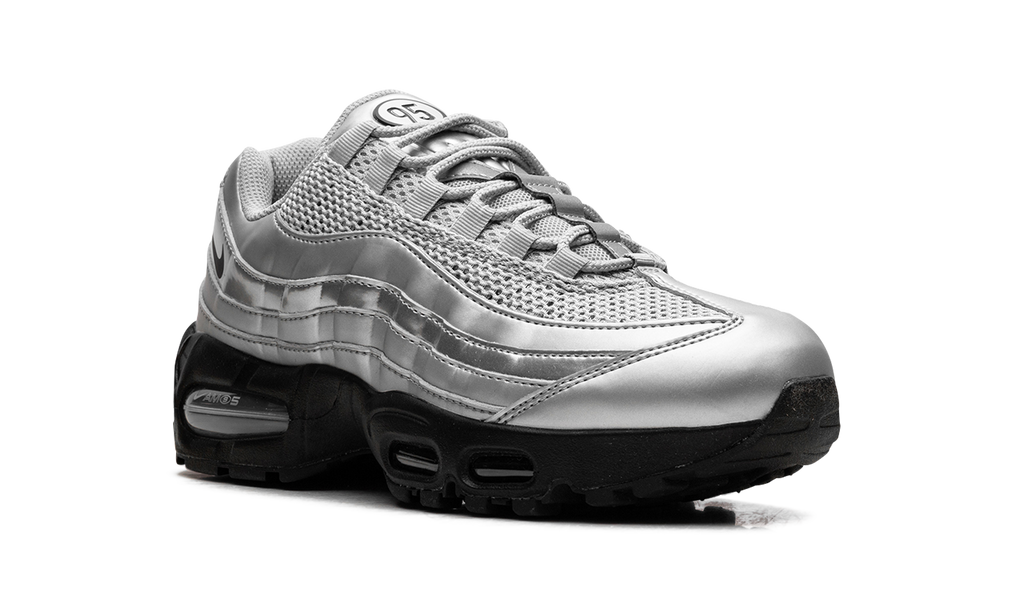 Nike Air Max 95 "Total 90 - Metallic Silver" IB6830 002
