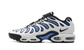 Air Max Plus Drift "Summit White Royal Pulse" FD4290 102