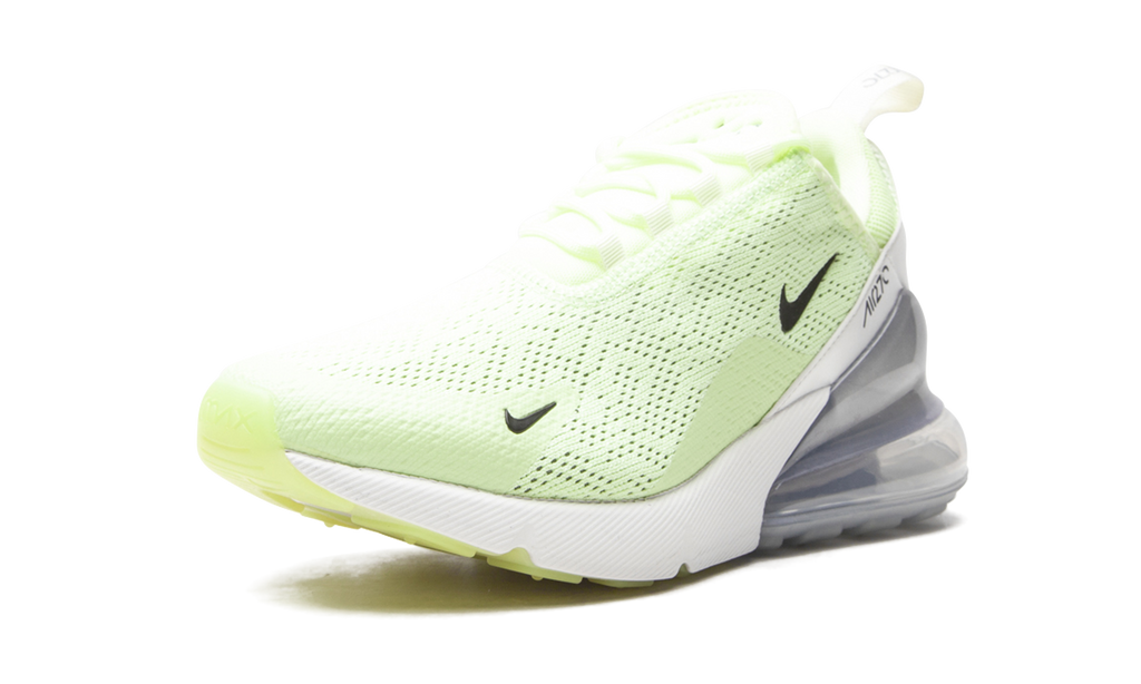 AIR MAX 270 WMNS CI9909 700