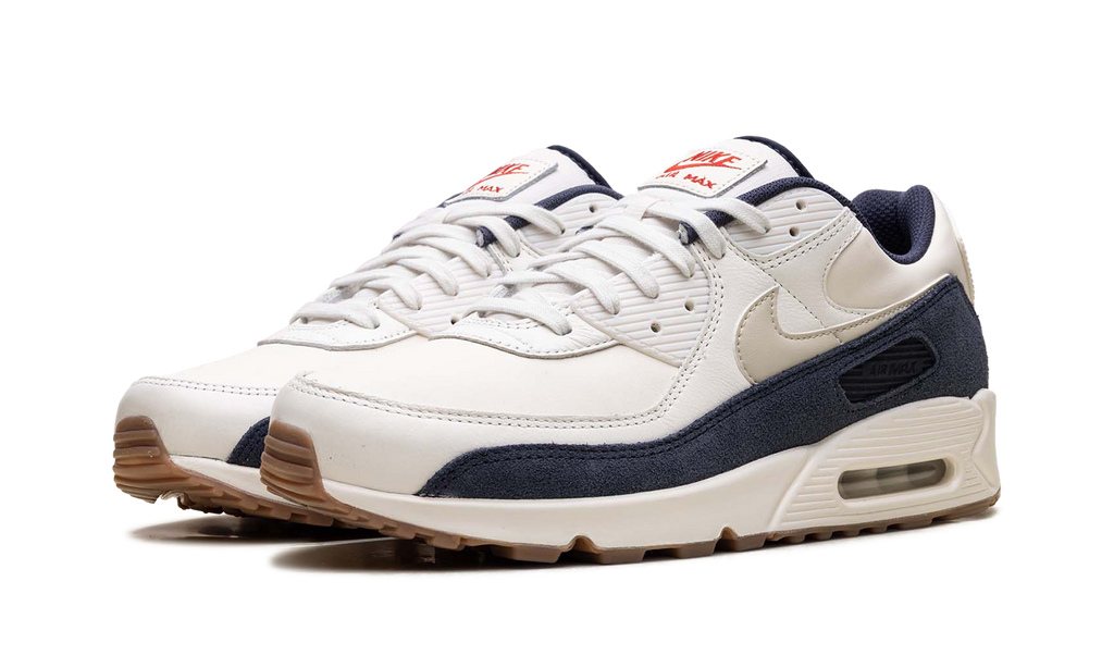 Air Max 90 "Rare Air - Pale Ivory" IH4379 110