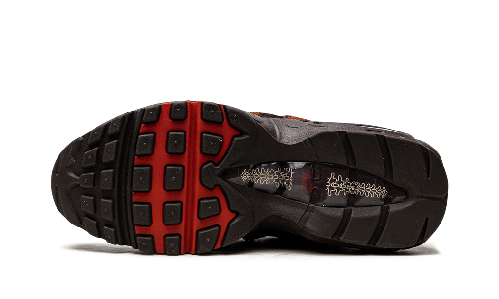 AIR MAX 95 MNS WMNS "Anatomy" DZ4710 200