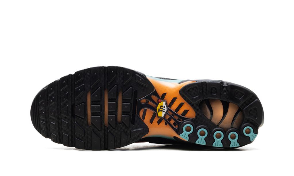 Air Max Plus "South Beach" DM0032 022