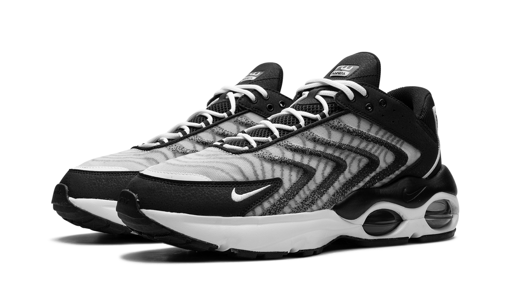 Air Max TW "Black White" DQ3984 001