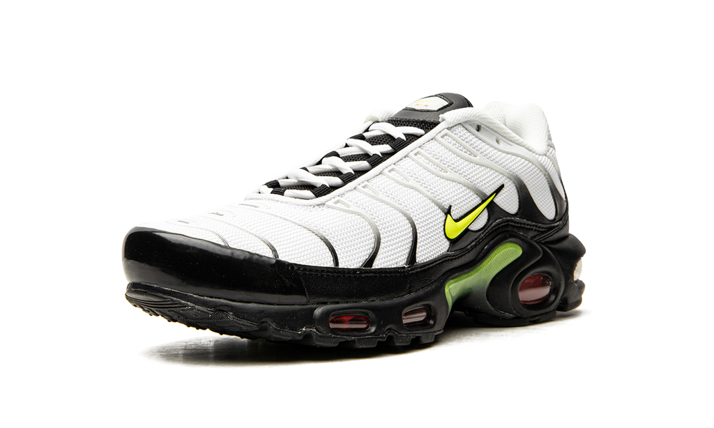 Air Max Plus "Retro Future" AJ2013 100