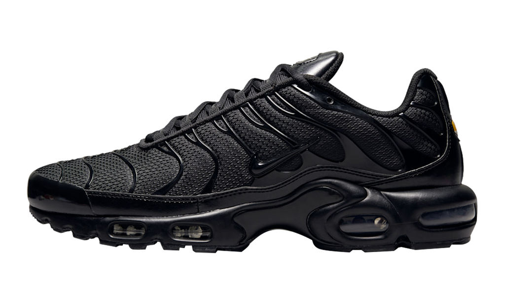 Air Max Plus "Triple Black" AJ2029 001
