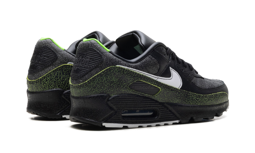 Air Max 90 "Tiempo 2005" IU0523 010