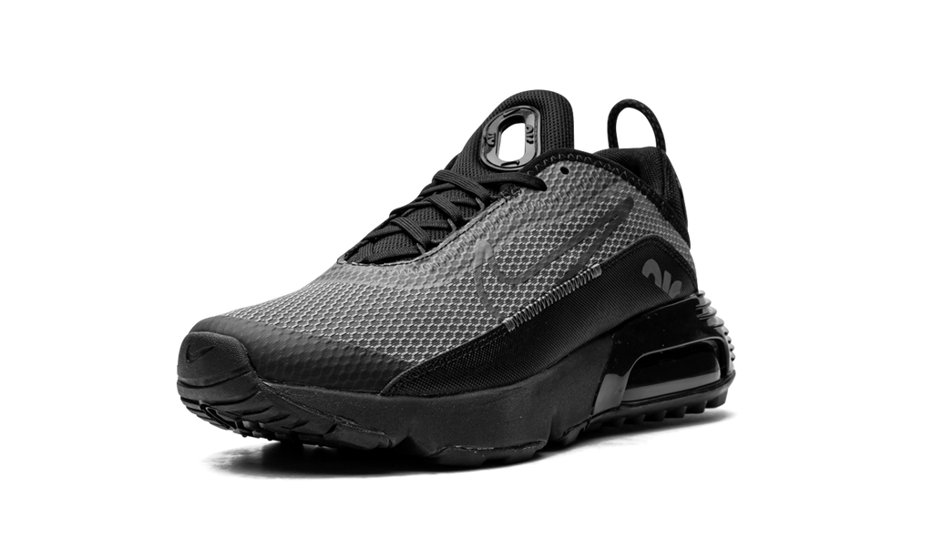 Air Max 2090(GS) "Black Wolf Grey" CJ4066 001