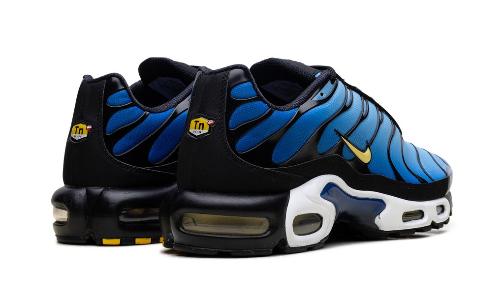 Air Max Plus OG "Hyper Blue" DX0755 001