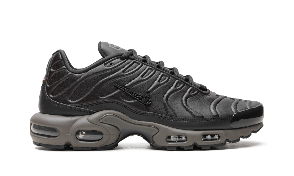 Air Max Plus "Black Tea / Petra Brown" "Black Tea / Petra Brown" HJ4519 200