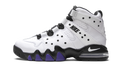 Air Max2 CB '94 "White / Varsity Purple" DD8557 100