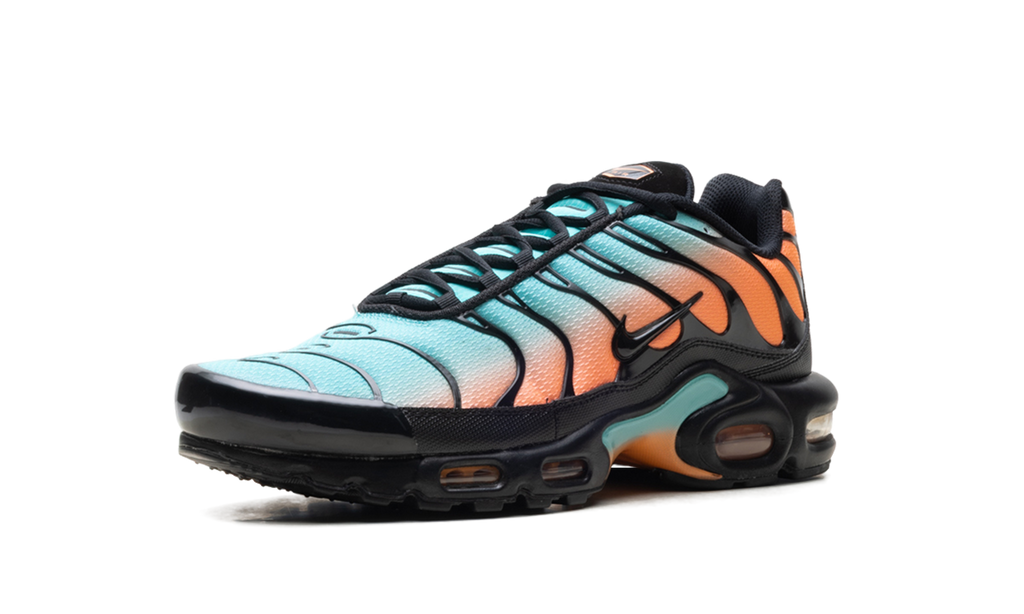 Air Max Plus "South Beach" DM0032 022