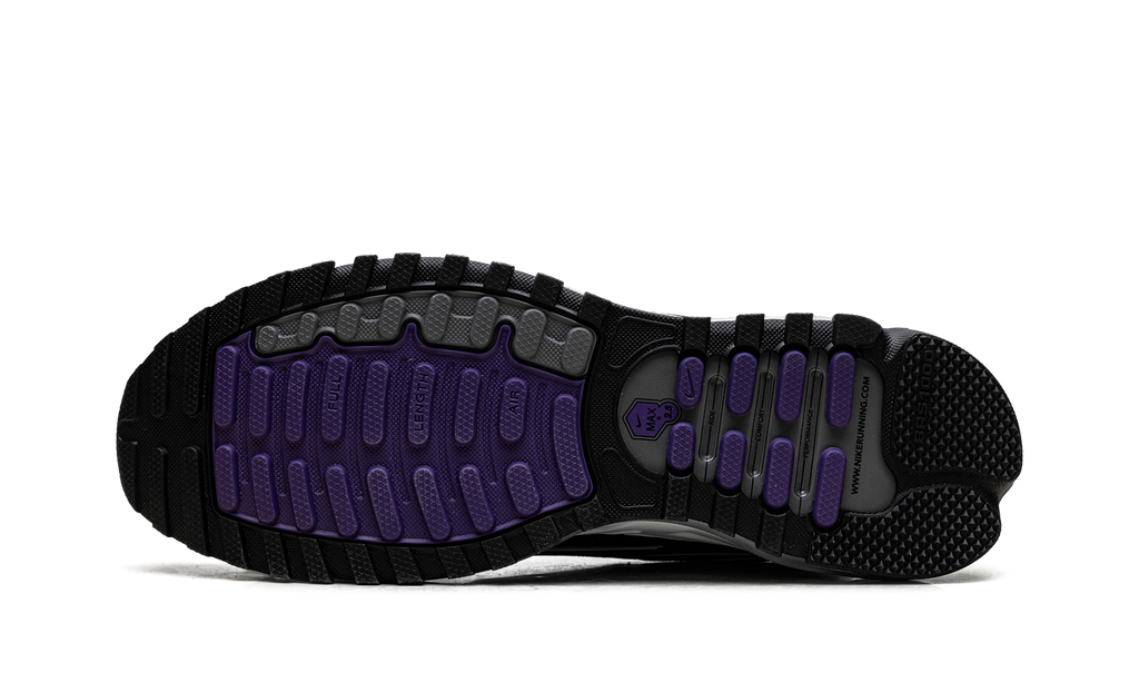 Air Max TL 2.5 "Wild Grape" FZ4110 105