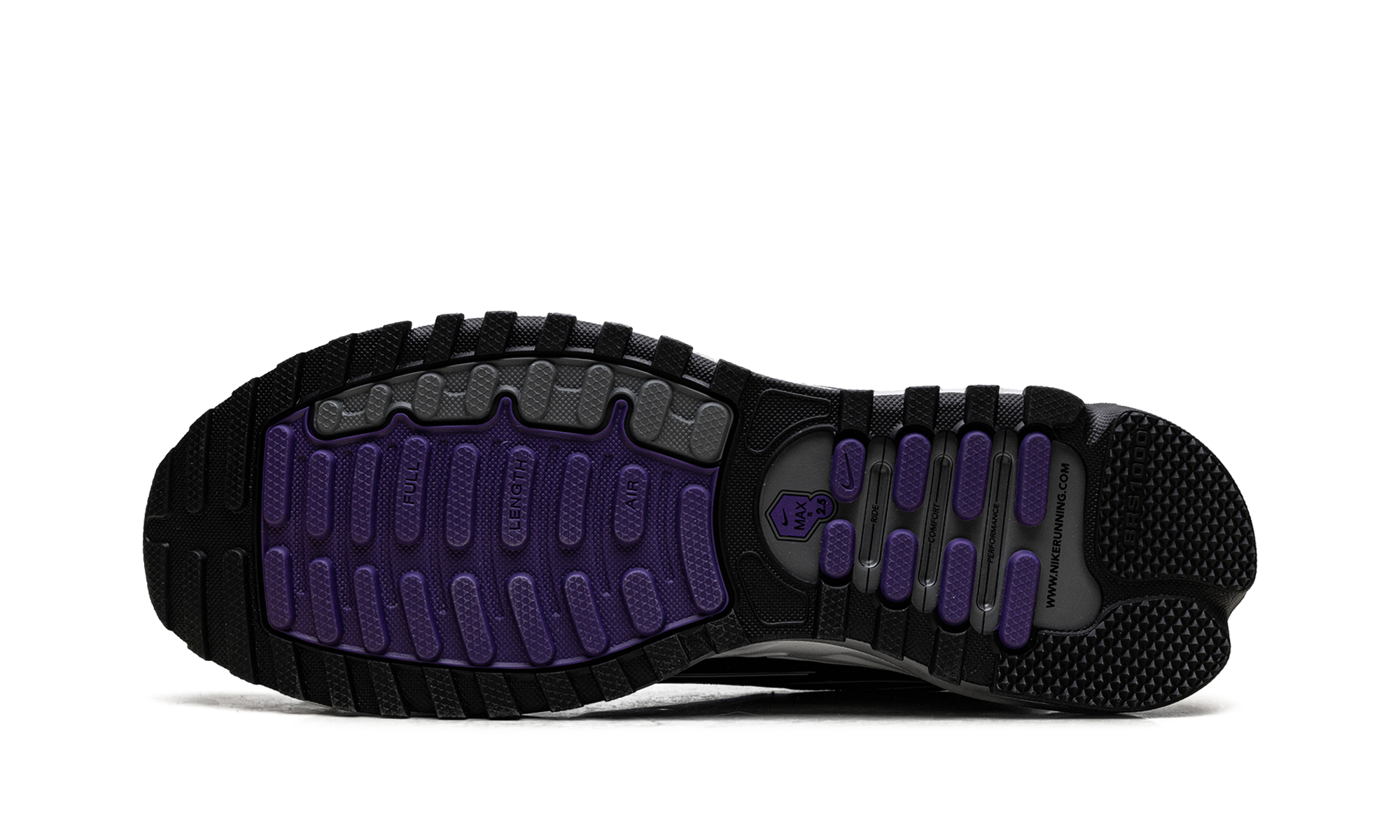 Air Max TL 2.5 "Wild Grape" FZ4110 105