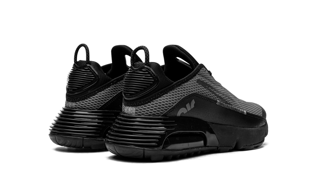 Air Max 2090(GS) "Black Wolf Grey" CJ4066 001