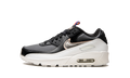 Air Max 90 LTR GS "Off Noir Metallic Pewter" DJ0414 001