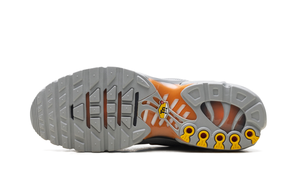 Air Max Plus "Light Smoke Grey Hot Curry" DM0032 037