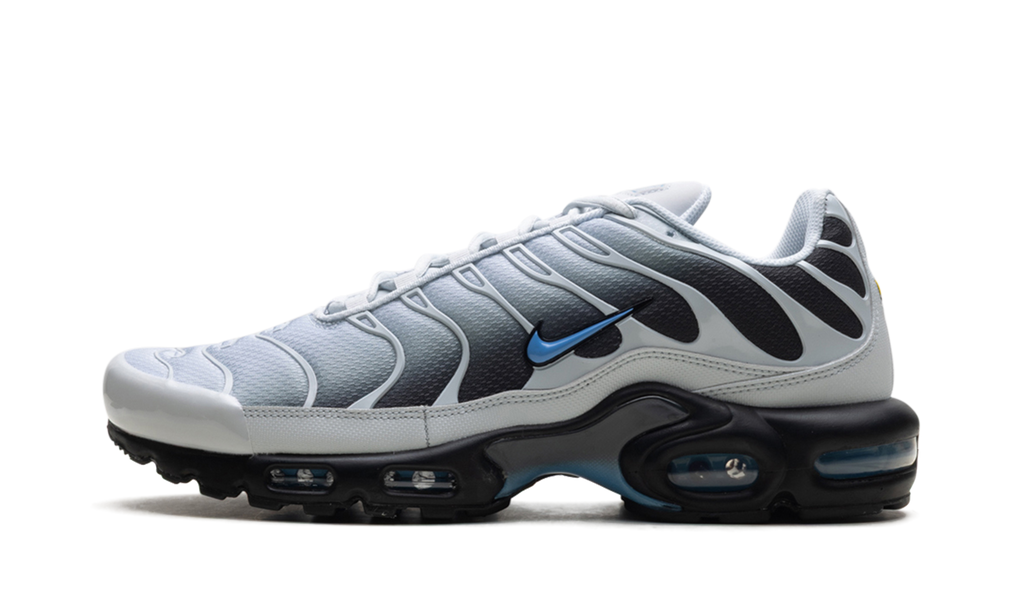 Air Max Plus "Grey University Blue Black" DM0032 015