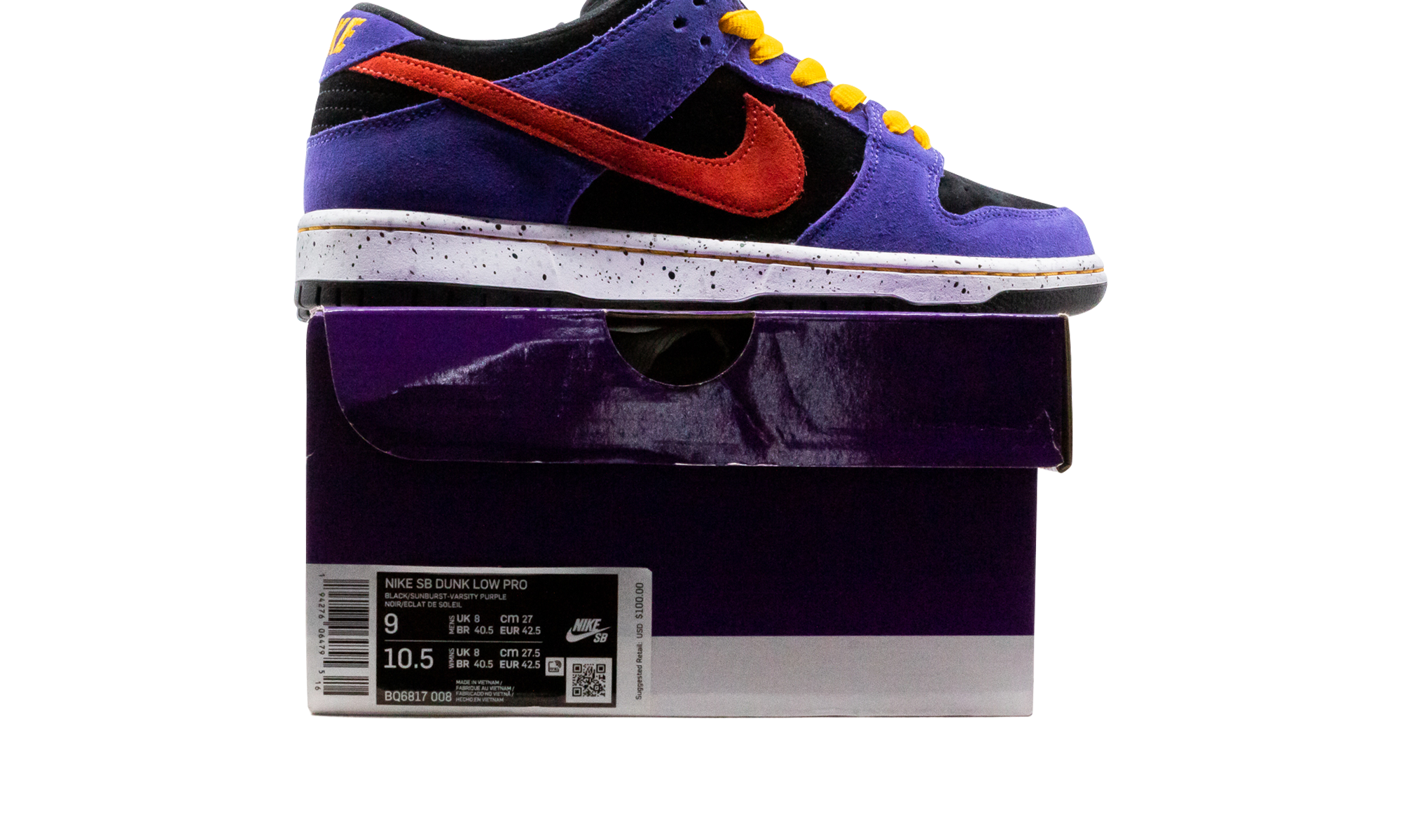 SB Dunk Low "ACG Terra" BQ6817 008