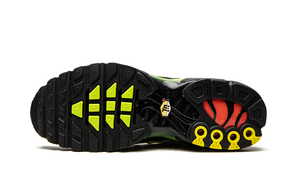 Air Max Plus "Retro Future" AJ2013 100