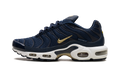 Air Max Plus "FFF" fb3350 400
