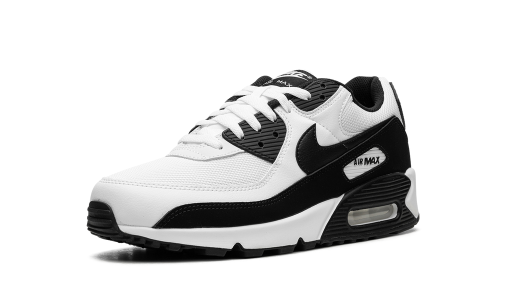 Air Max 90 "Panda" CN8490 101