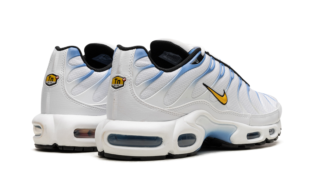 Air Max Plus "White University Blue" DM0032 101