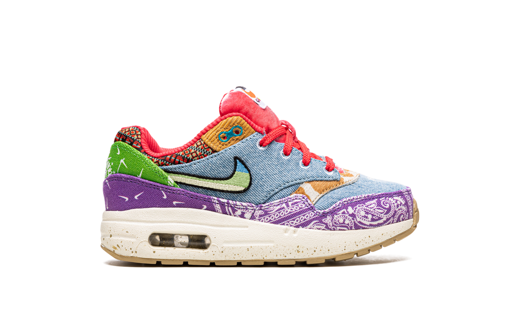 Air Max 1 PS "Concepts Far Out" DR2362 100