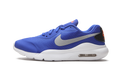 Air Max Oketo GS "Royal Metallic Silver" AR7419 402