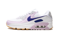 AIR MAX 90 WMNS "White Doll" DX3316 100